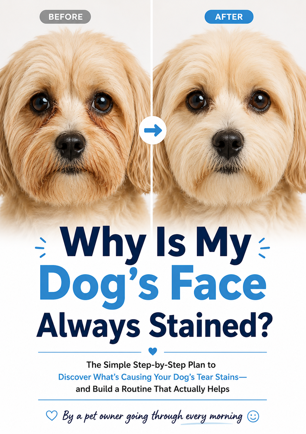 Dog-Tear-Stain-Guide